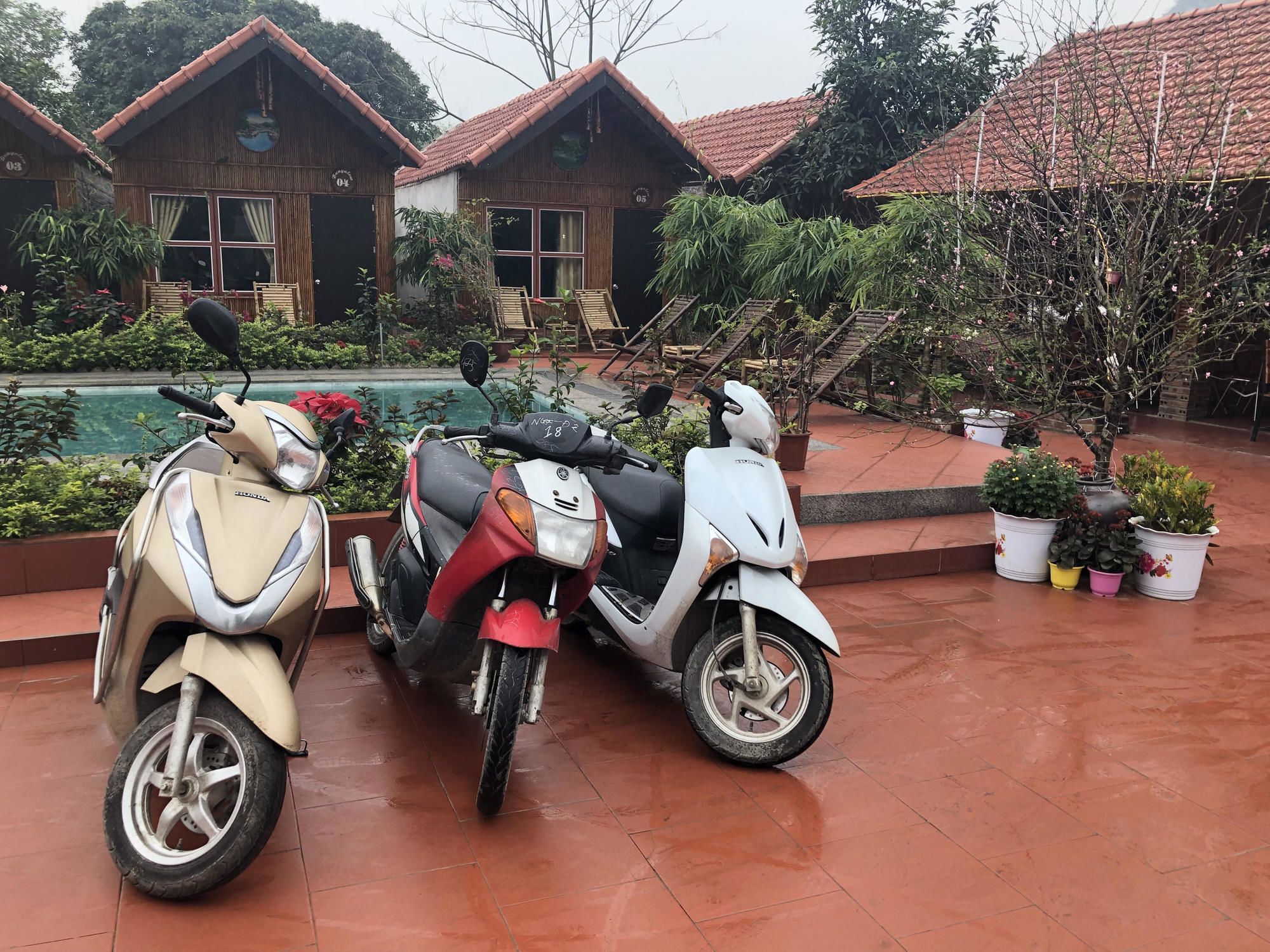 Tam Coc Garden Homestay Ninh Bình Extérieur photo