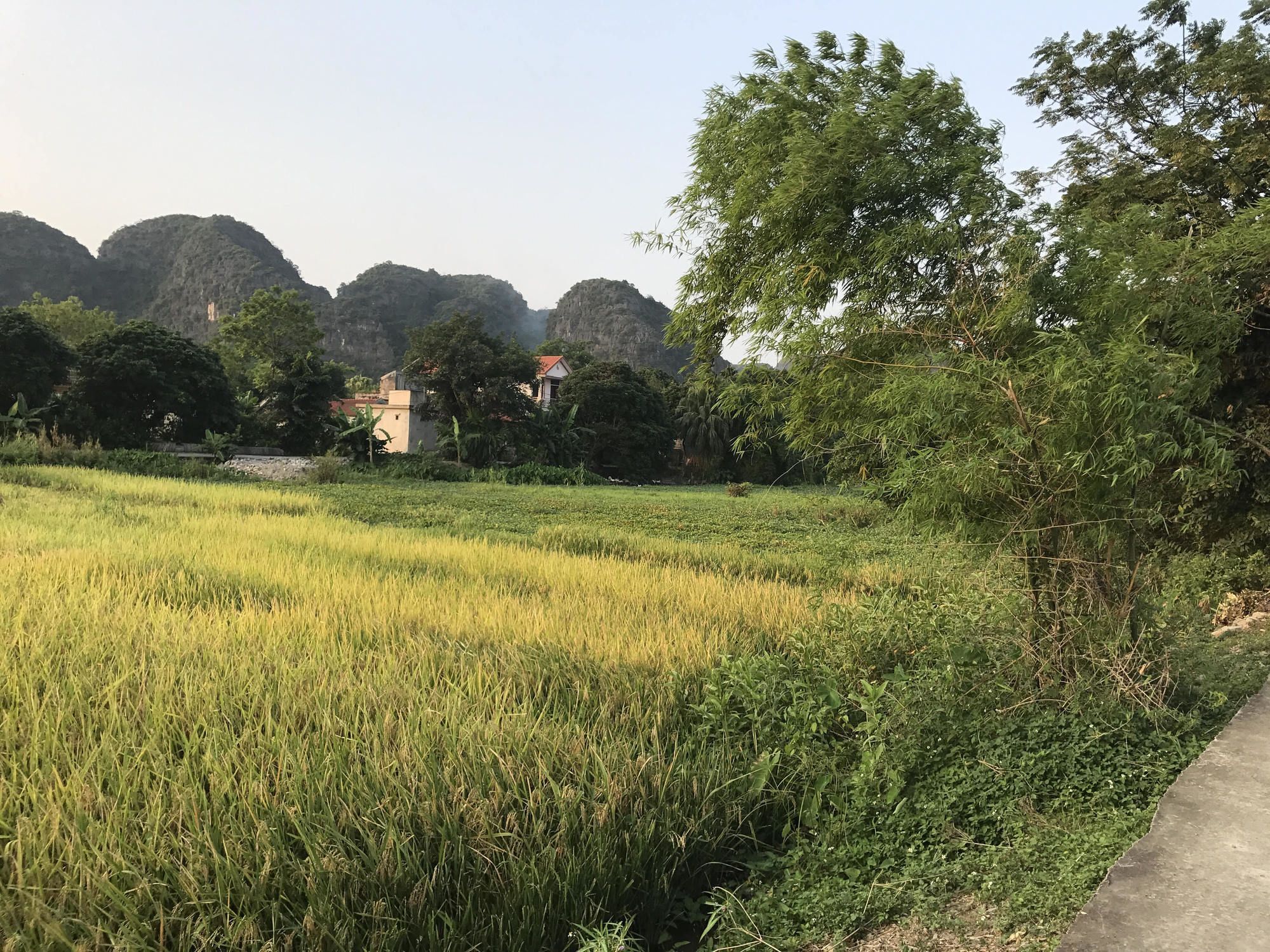 Tam Coc Garden Homestay Ninh Bình Extérieur photo