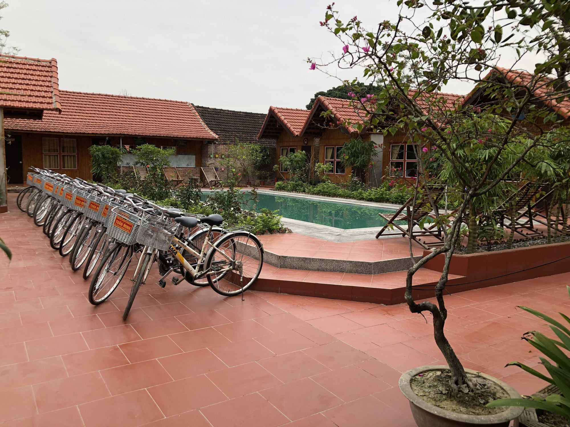 Tam Coc Garden Homestay Ninh Bình Extérieur photo