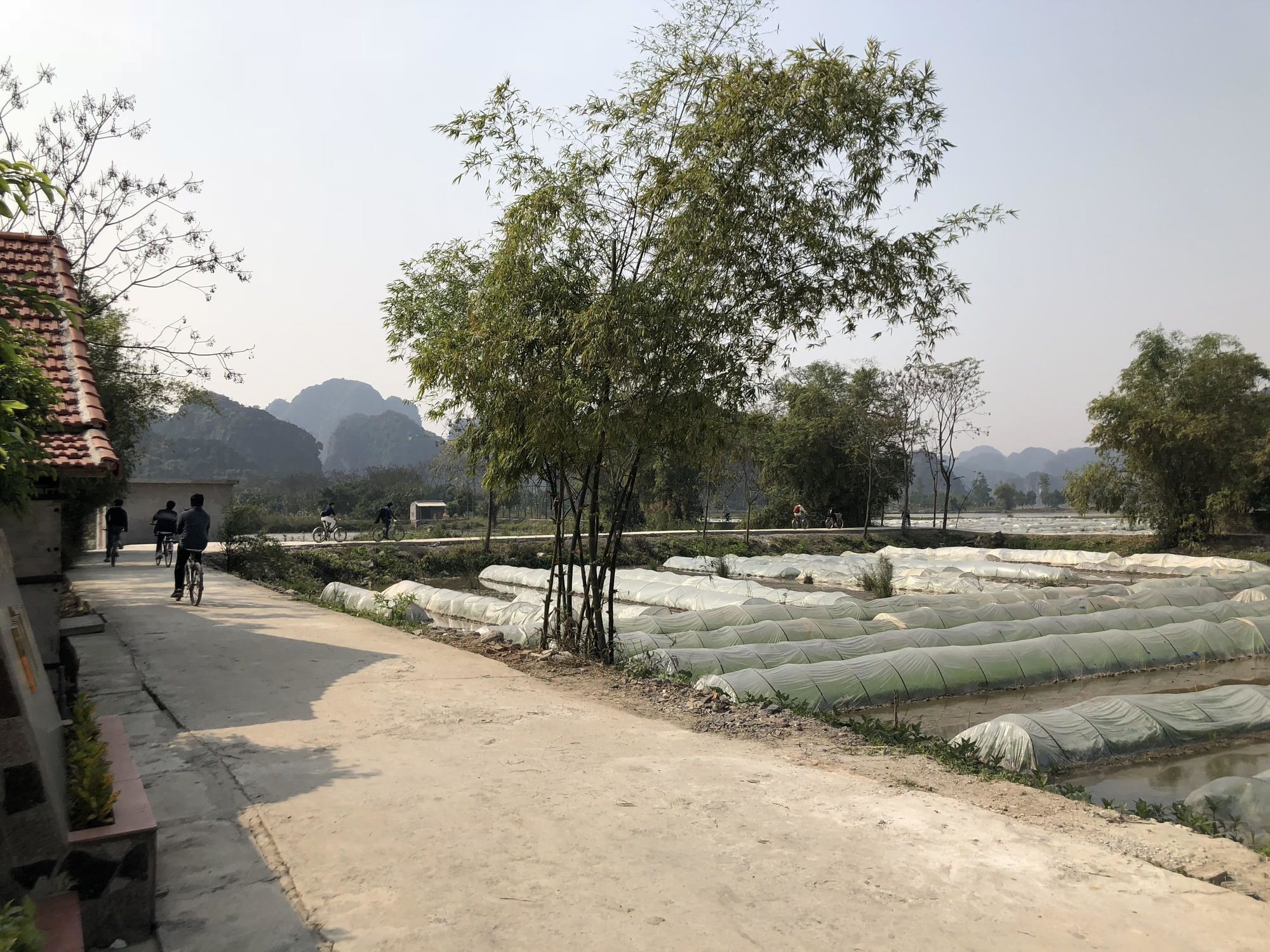 Tam Coc Garden Homestay Ninh Bình Extérieur photo